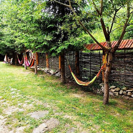 Cabana Frasin Dragoslavele Extérieur photo