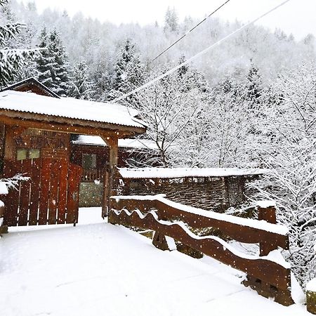 Cabana Frasin Dragoslavele Extérieur photo
