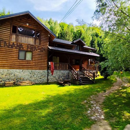 Cabana Frasin Dragoslavele Extérieur photo
