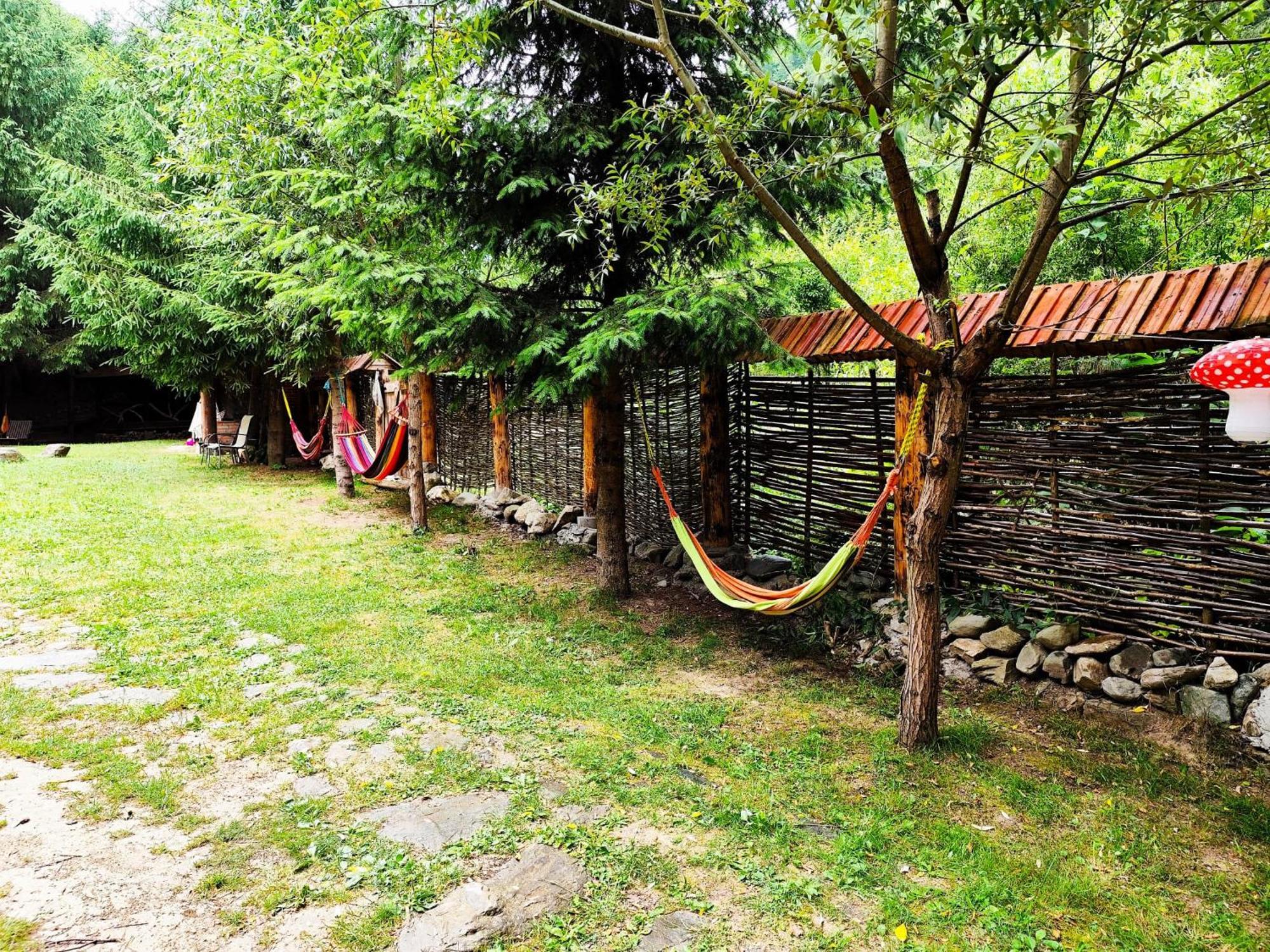 Cabana Frasin Dragoslavele Extérieur photo