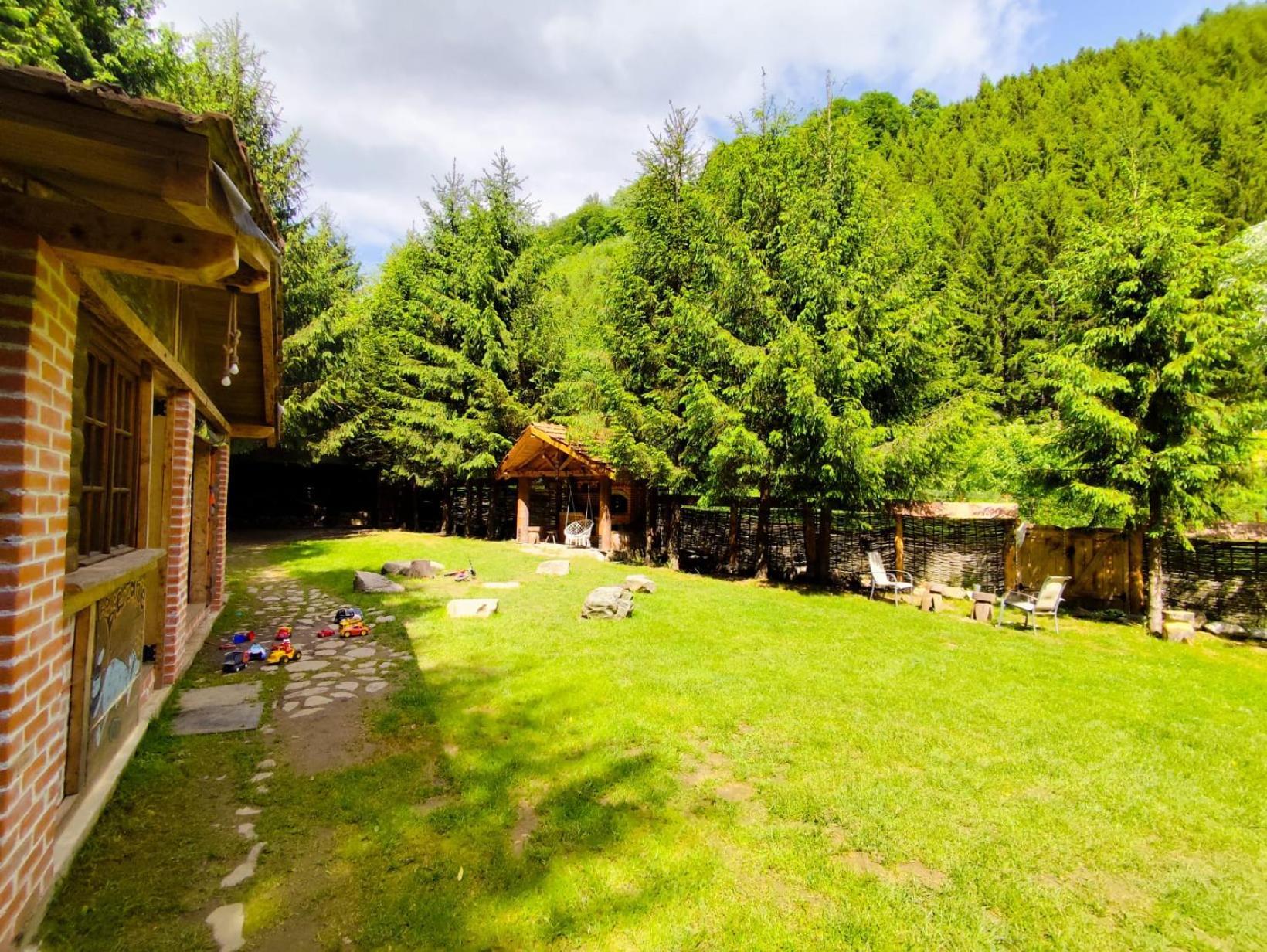 Cabana Frasin Dragoslavele Extérieur photo