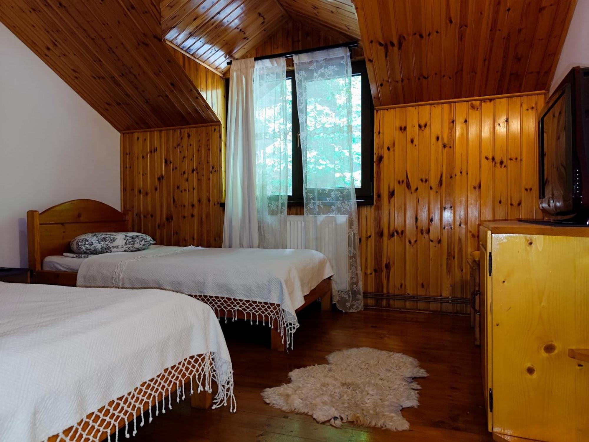 Cabana Frasin Dragoslavele Extérieur photo