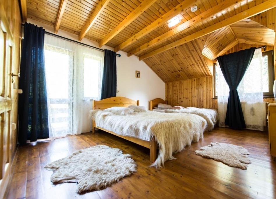 Cabana Frasin Dragoslavele Extérieur photo